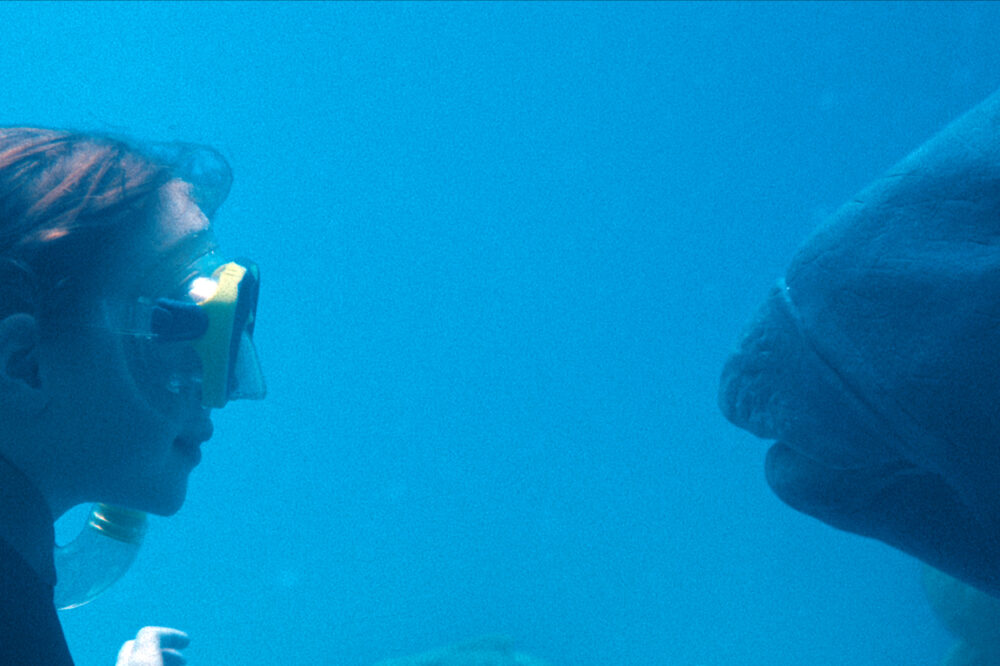 blueback11